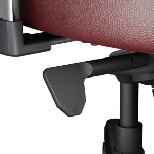 AndaSeat New Kaiser Classic Moon (3)