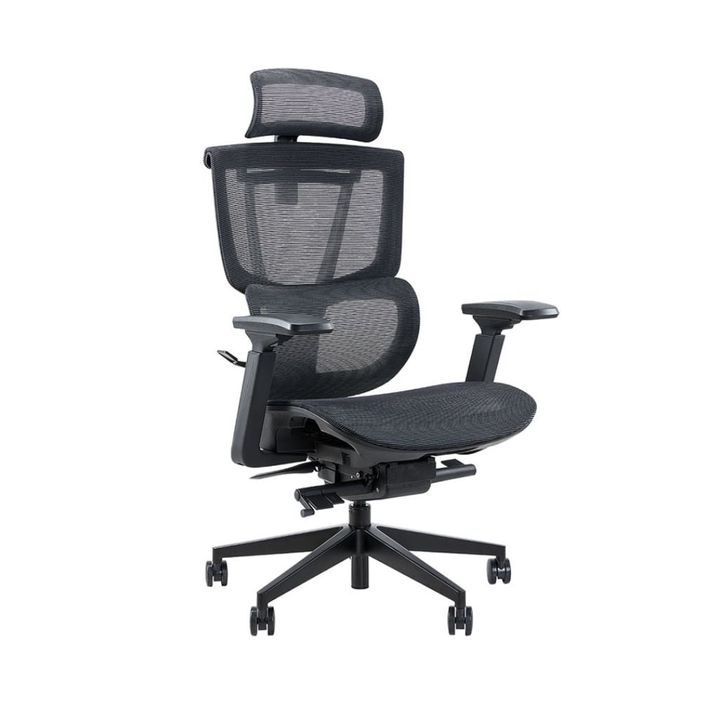 Ghế công thái học Epione Easy Chair 2.0 – Black_ava
