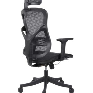 Ghế công thái học WARRIOR Ergonomic Marshal-WEC 610
